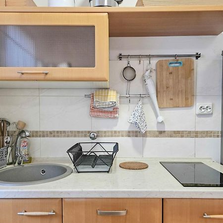 Apartments Maria Novigrad  Bagian luar foto