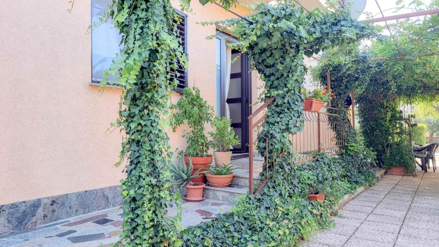 Apartments Maria Novigrad  Bagian luar foto